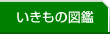 いきもの図鑑