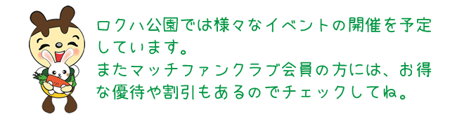 マッチファンクラブ会員には、お得な優待や割引もあるのでチェックしてね。