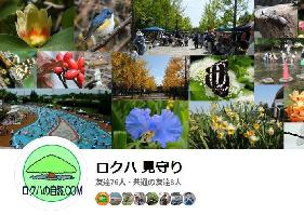 公園へのいざない　facebook編の写真