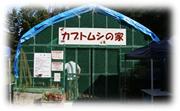 カブトムシ観察小屋