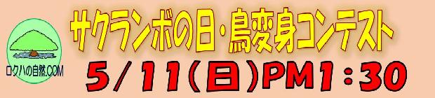 サクランボの日・鳥変身コンテスト