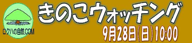 キノコウォッチング