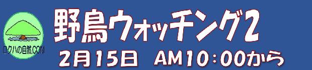 野鳥ウォッチング②